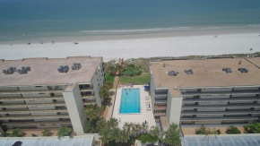 Sand Dollar 404